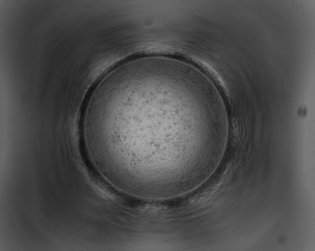 X0000101960487200807181044