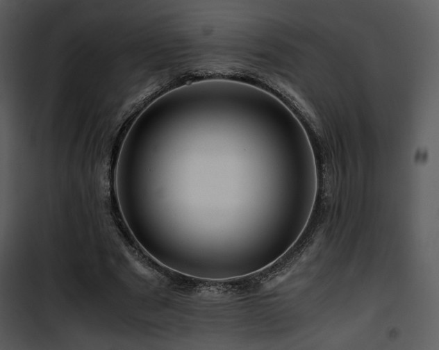X0000101960489200807181044