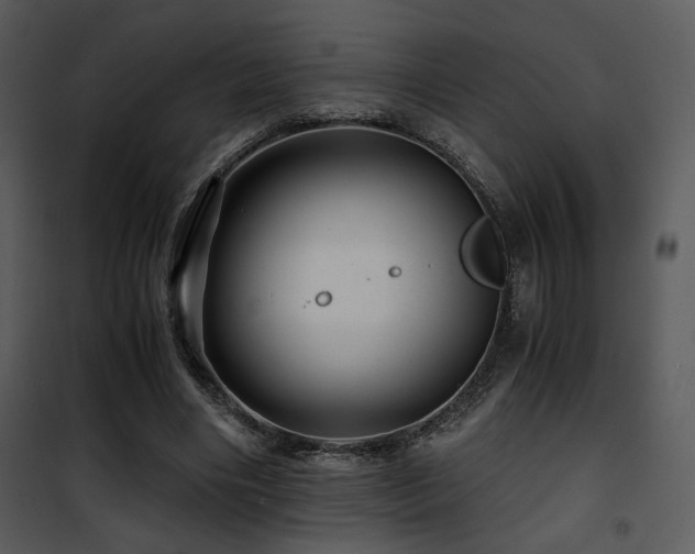 X0000101960490200807181044