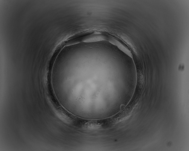 X0000101960491200807181044