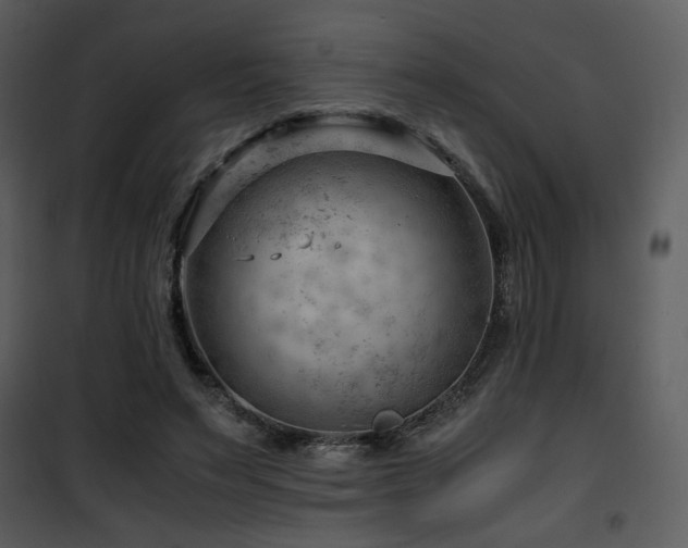 X0000101960495200807181044
