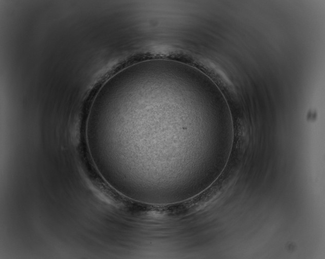X0000101960496200807181044