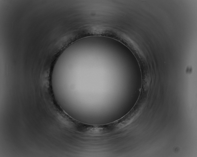 X0000101960497200807181044