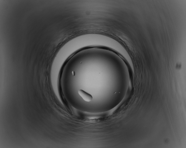 X0000101960499200807181044