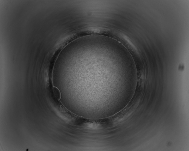 X0000101960500200807181044