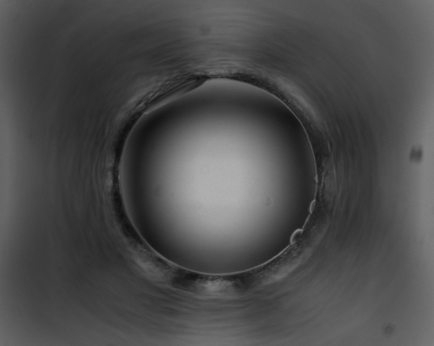 X0000101960501200807181044