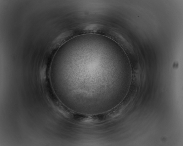 X0000101960504200807181044