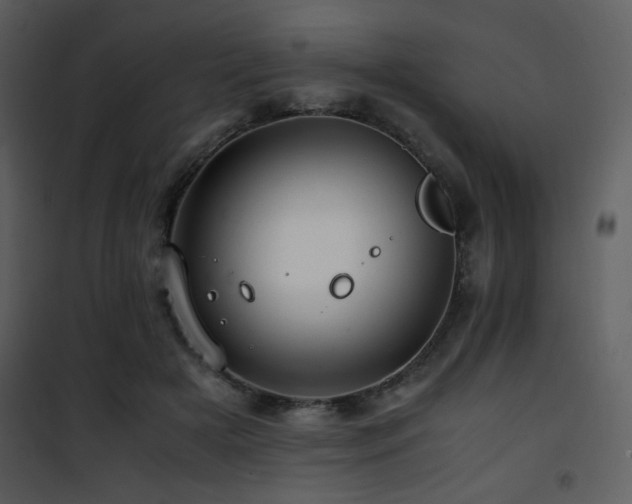 X0000101960505200807181044