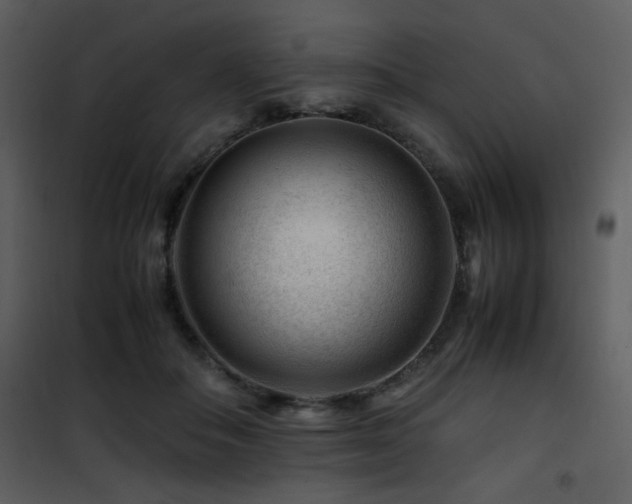 X0000101960506200807181044