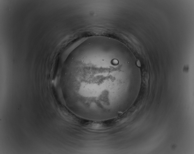 X0000101960507200807181044