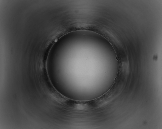 X0000101960508200807181044