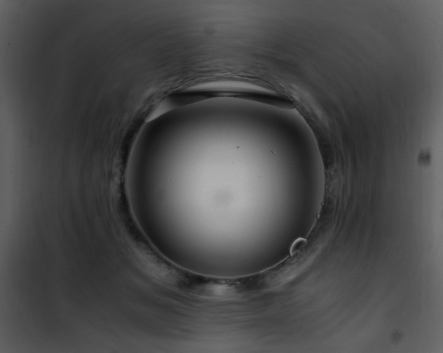 X0000101960509200807181044