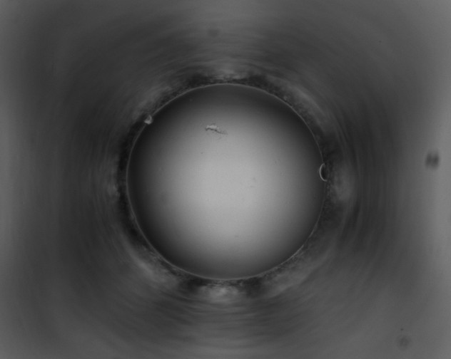X0000101960512200807181044