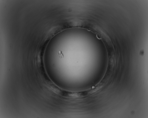 X0000101960516200807181044