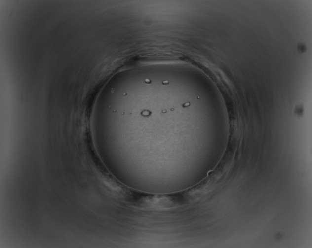 X0000101960517200807181043