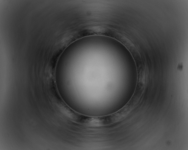 X0000101960518200807181043