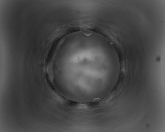 X0000101960519200807181043