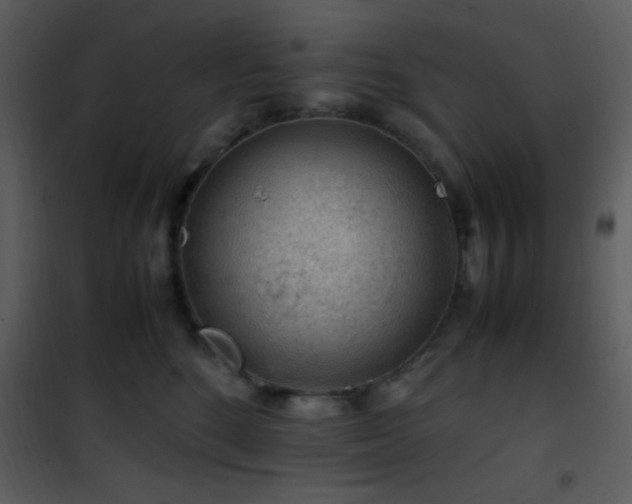 X0000101960520200807181043