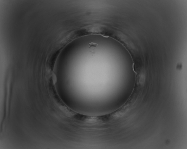 X0000101960521200807181043
