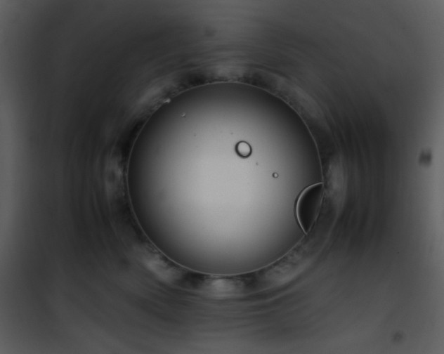 X0000101960522200807181043