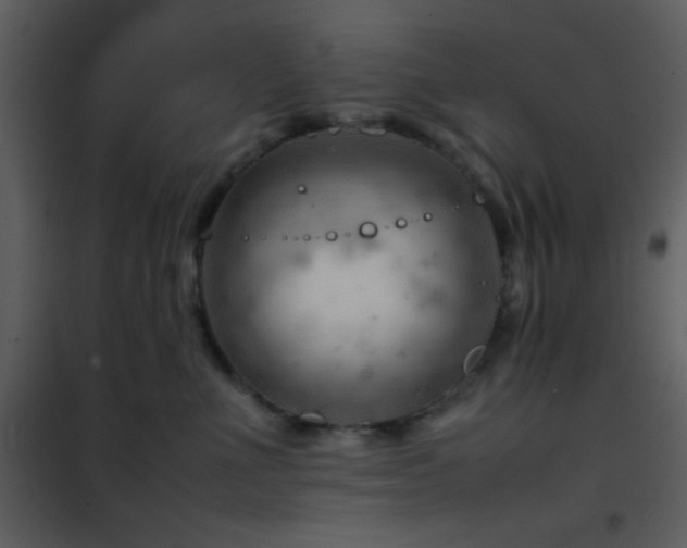 X0000101960523200807181043