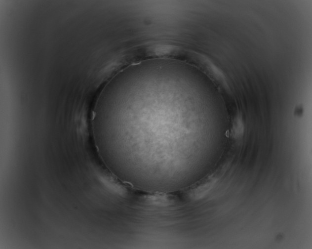 X0000101960524200807181043