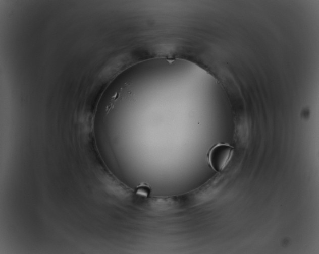 X0000101960525200807181043