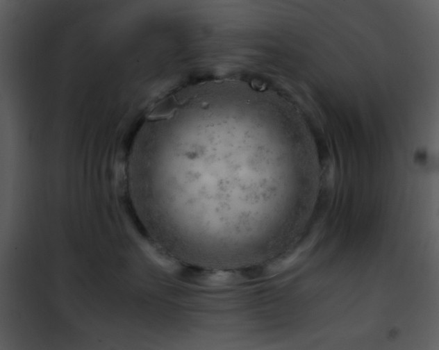 X0000101960527200807181043
