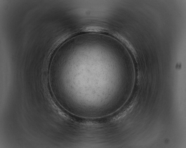 X0000101960529200807181043