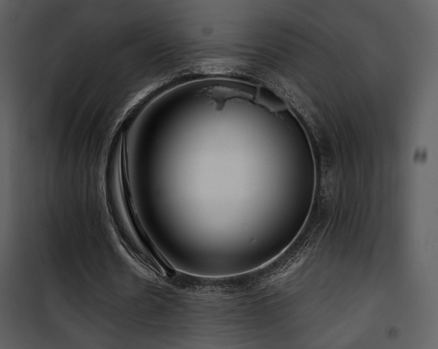 X0000101960530200807181043