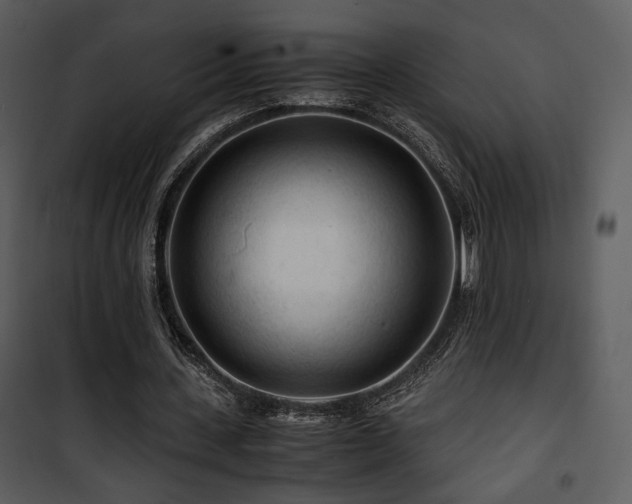 X0000101960531200807181043