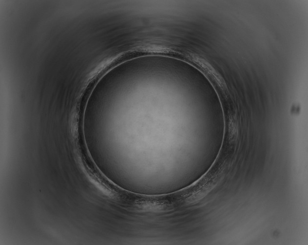 X0000101960533200807181043