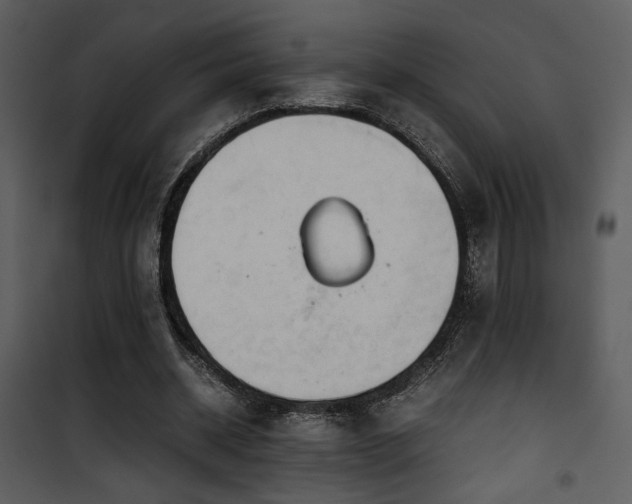 X0000101960534200807181043