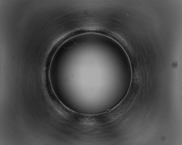X0000101960535200807181043