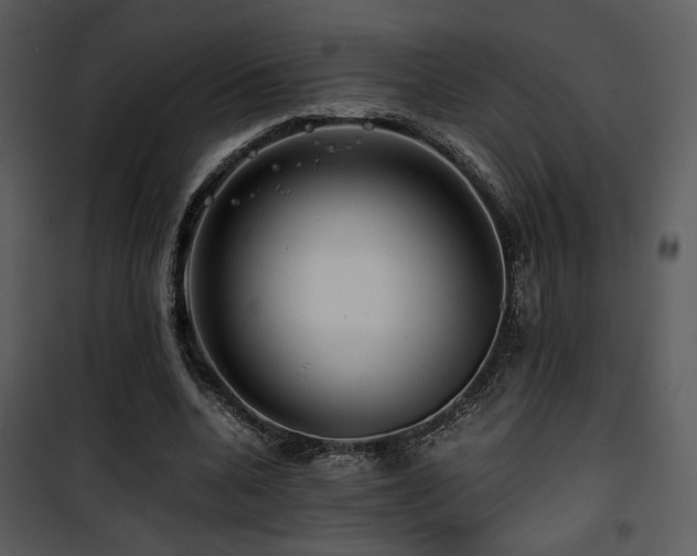 X0000101960536200807181043