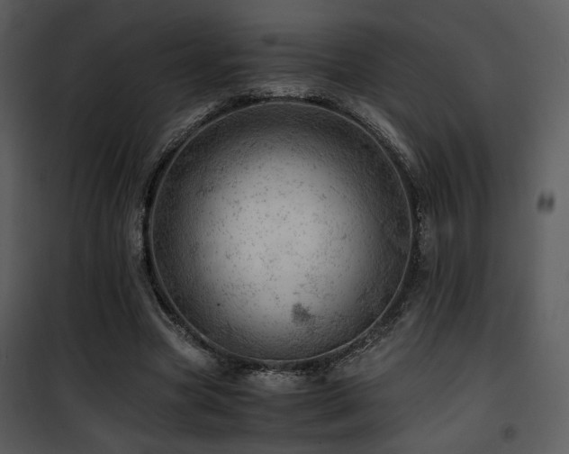 X0000101960537200807181043