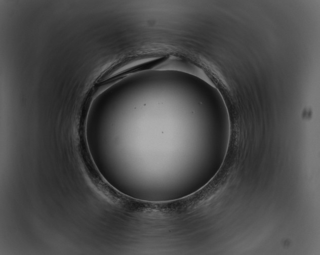 X0000101960538200807181043