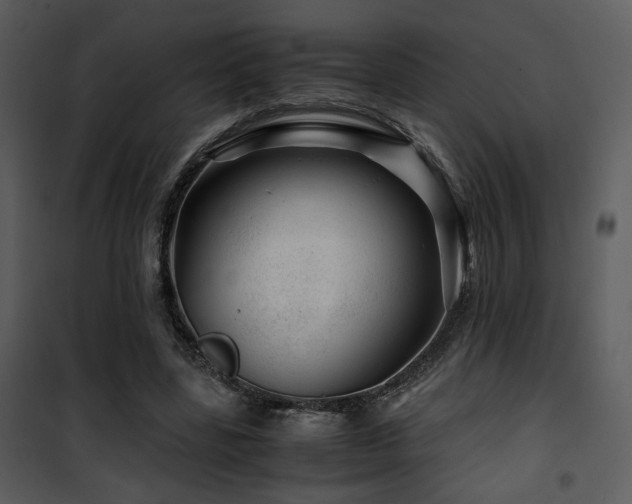 X0000101960539200807181043