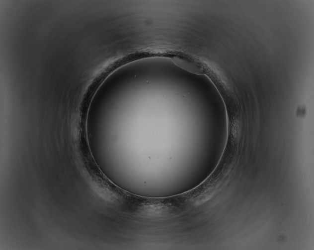 X0000101960540200807181043