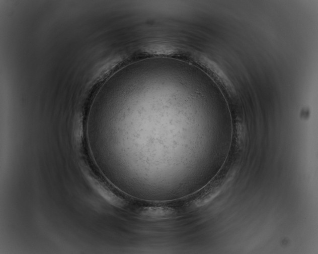 X0000101960541200807181043