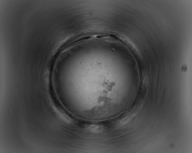X0000101960542200807181043
