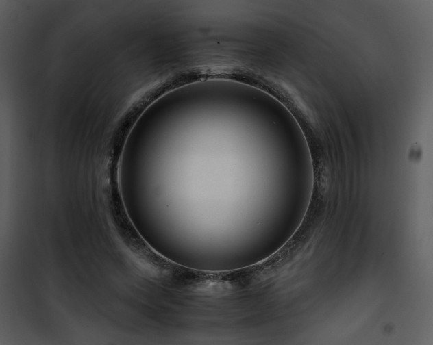 X0000101960543200807181043