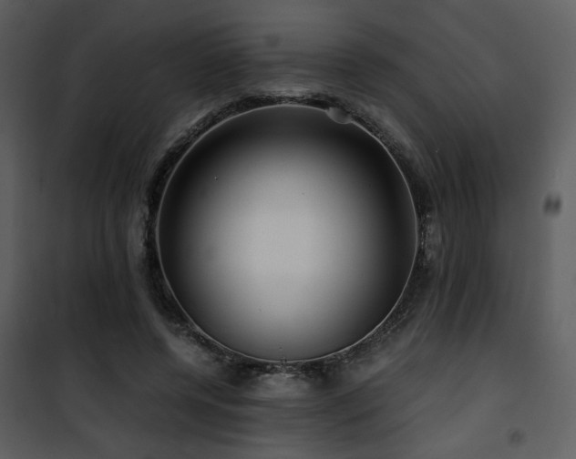 X0000101960544200807181043