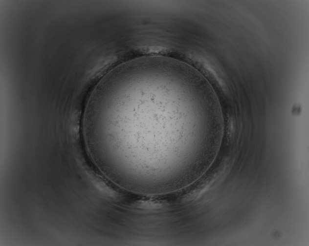 X0000101960545200807181043