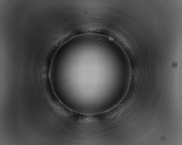 X0000101960546200807181043