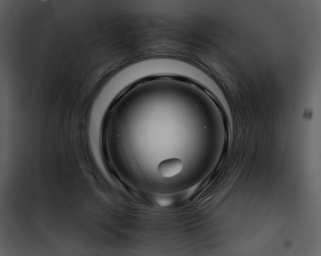 X0000101960547200807181043