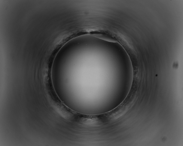 X0000101960548200807181043