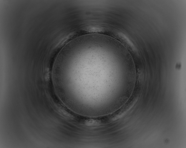 X0000101960549200807181043