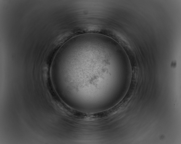 X0000101960550200807181043