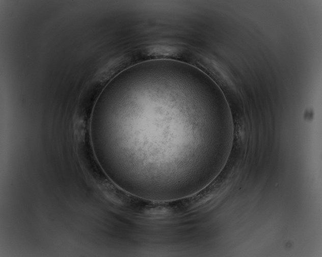 X0000101960551200807181043